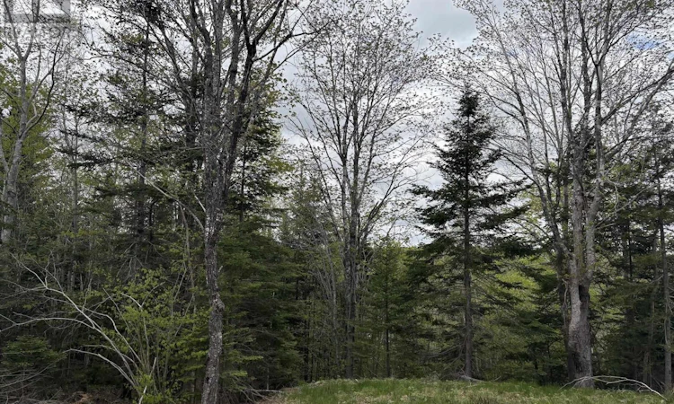 Lot-4 14 Highway
