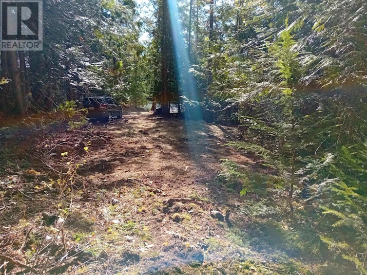 372 Aspen Road, Anglemont, BC, V0E 1M8 - 6