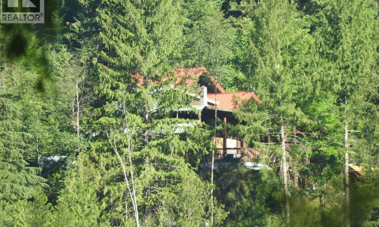 6119 Slocan River Road