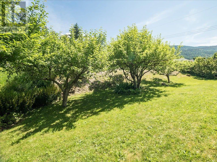 723 Latimer Street, Nelson, BC, V1L 4V5 - 41