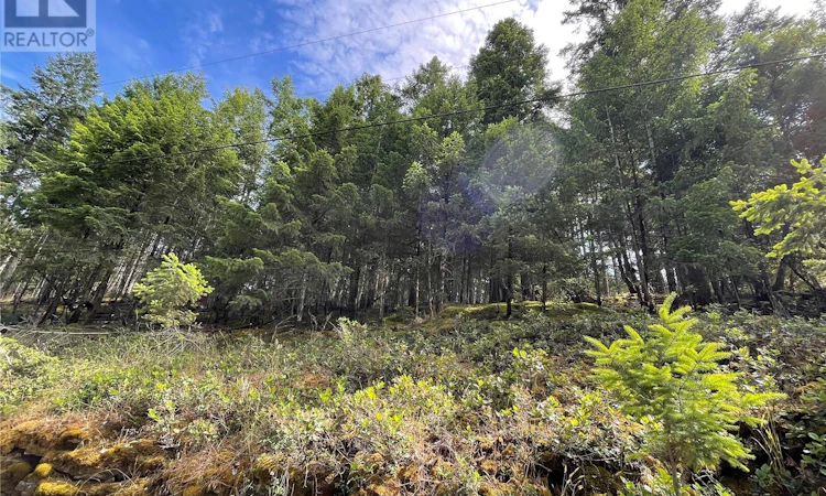 LOT-141 Coho Boulevard