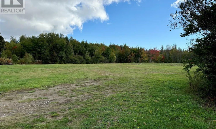 2-96 Acres Principale Street