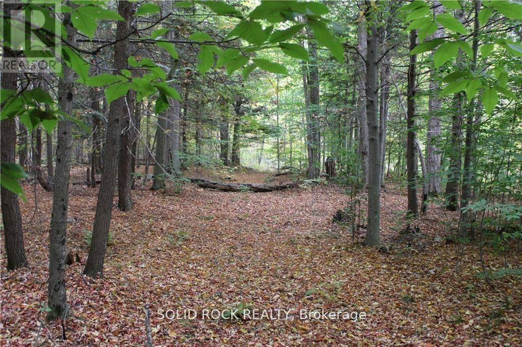 2209 Jochem Road, Cardinal, ON, K0G 1T0
