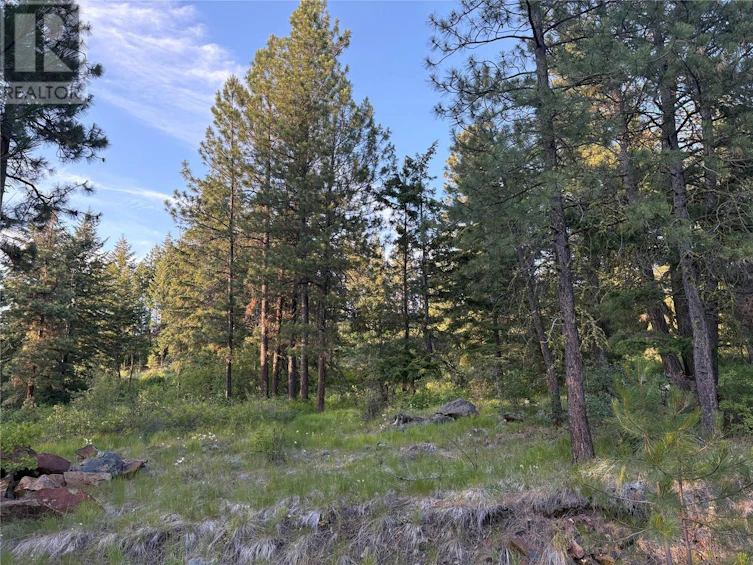 980 Bullmoose Way, Osoyoos, BC, V0H 1V6 - 6