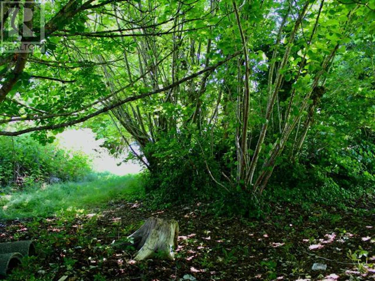 Lot-B Cook Avenue, Powell River, BC, V8A 3L3 - 5