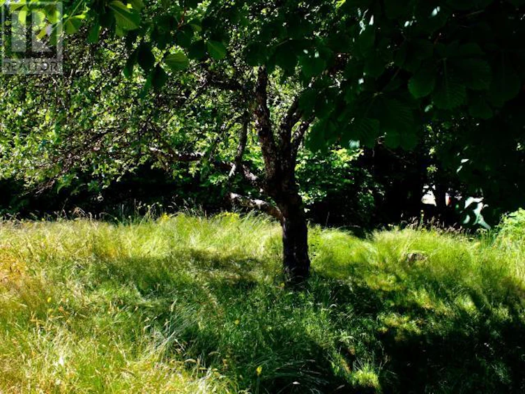 Lot-B Cook Avenue, Powell River, BC, V8A 3L3 - 2
