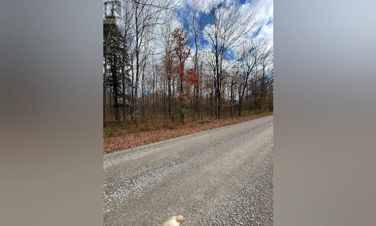 PT LT-17 Kyle Road