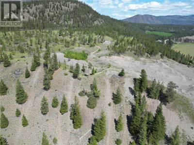 7229 Douglas Lake Road - 2