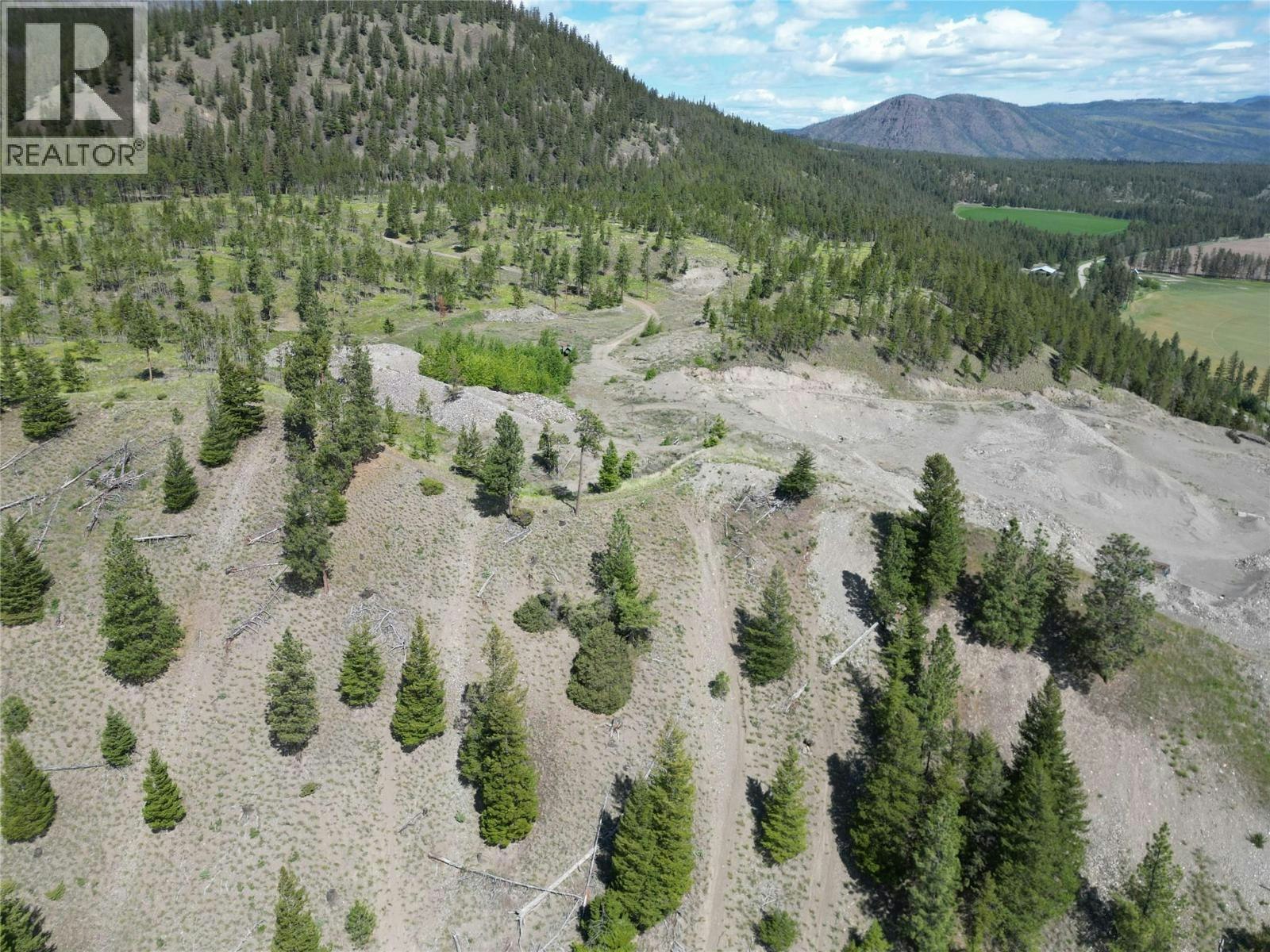7229 Douglas Lake Road - 2