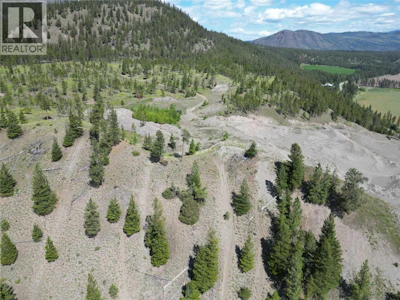 7229 Douglas Lake Road - 2