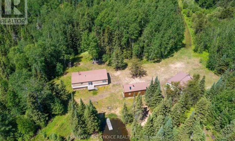1 Bear Camp