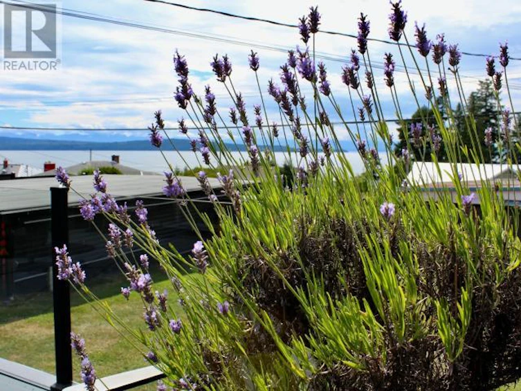 3967 Manitoba Avenue, Powell River, BC, V8A 2W7 - 45