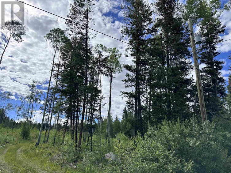 LOT-1 Chuckwagon Trail, 100 Mile House, BC, V0K 1M0 - 4