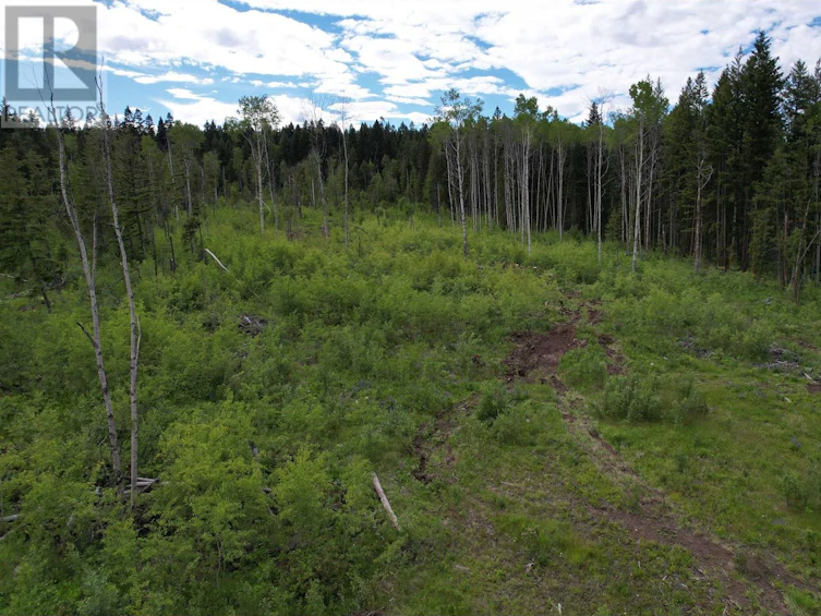 LOT-1 Chuckwagon Trail, 100 Mile House, BC, V0K 1M0 - 13