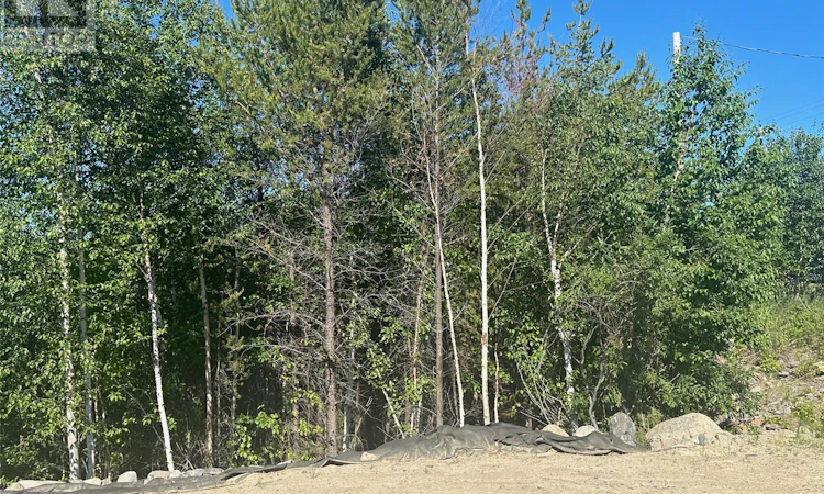 233 Eagle Point Drive