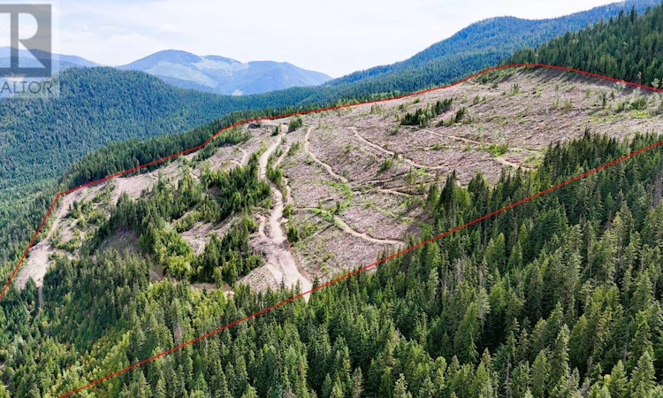 Lot Parcel A-Quartz Creek Forest Service Road Road