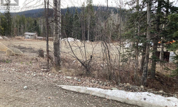 13063 Omineca Mining Access Road
