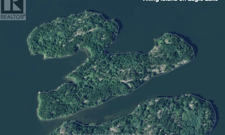 1 Viking Island