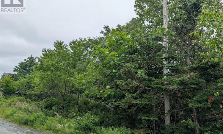 11 Parsons Place