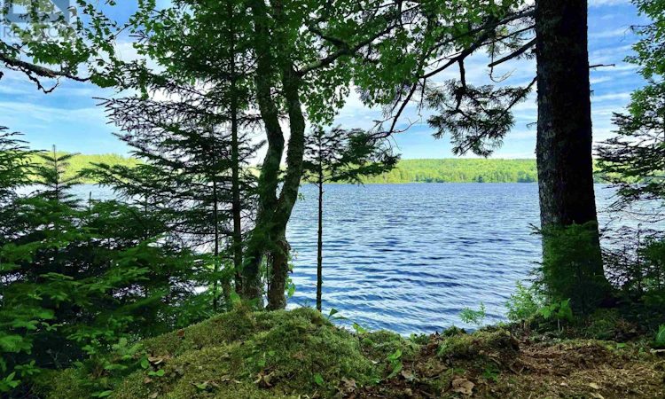 Lot-40 Cliff Road