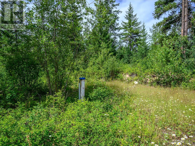 7929 Aspen Road, Vernon, BC, V1B 3M9 - 13