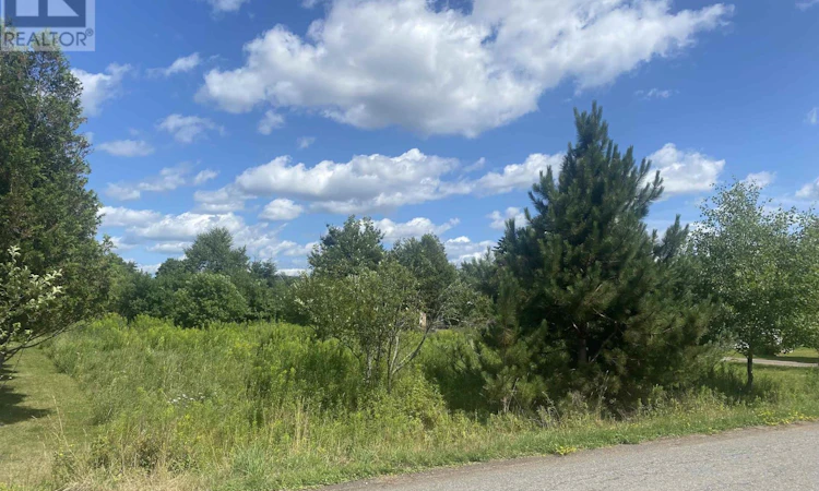 Lot-24 Old Court House Branch Road