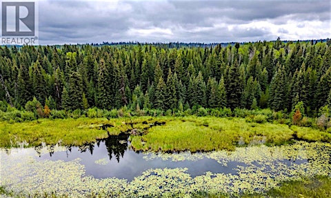 7478 Burgess Road, Deka Lake, BC, V0K 1X3