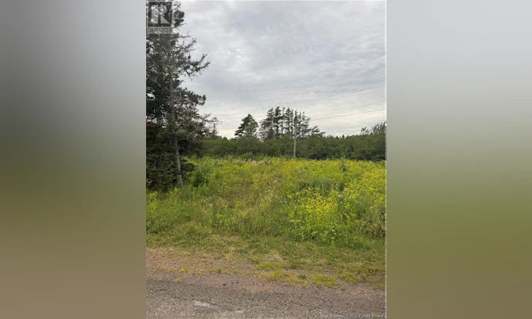 0 Collins Lake Road