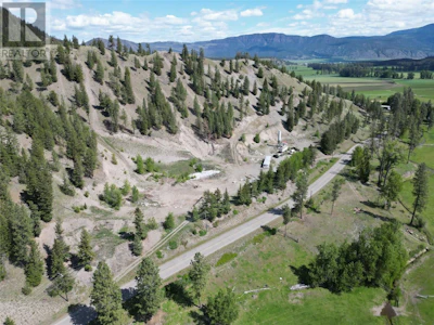 7329 Douglas Lake Road - 2