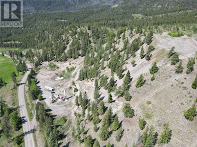 7329 Douglas Lake Road - 3