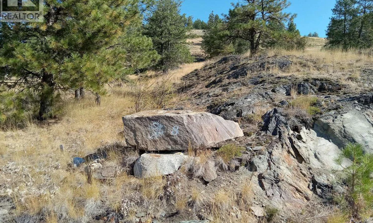 Lot 8-1024 Bullmoose Trail