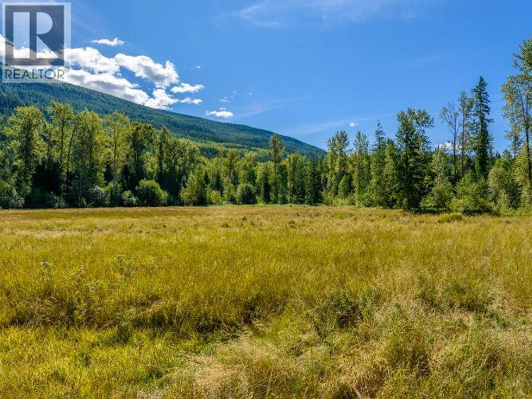 Lot A, & Lot-6 N Queest, Malakwa, BC, V0E 1M7 - 12