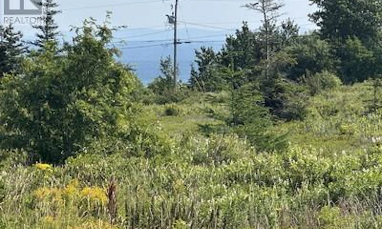 12-32 Blueberry Road