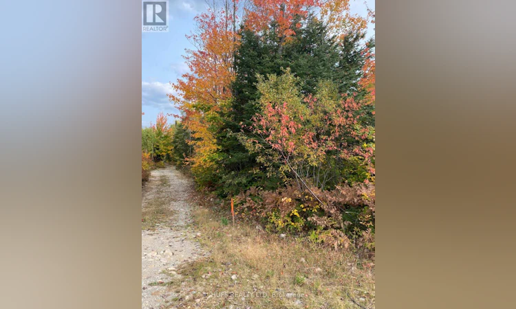 L1C1 54R-6371 Catharine Road