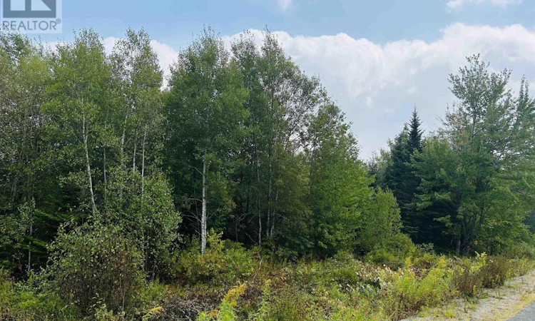 Lot Alpena Road