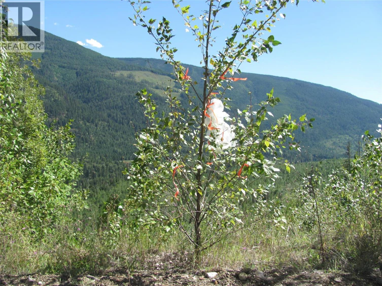 130Acres Sugar Lake Sihlis Road, Cherryville, BC, V1H 2B1 - 25