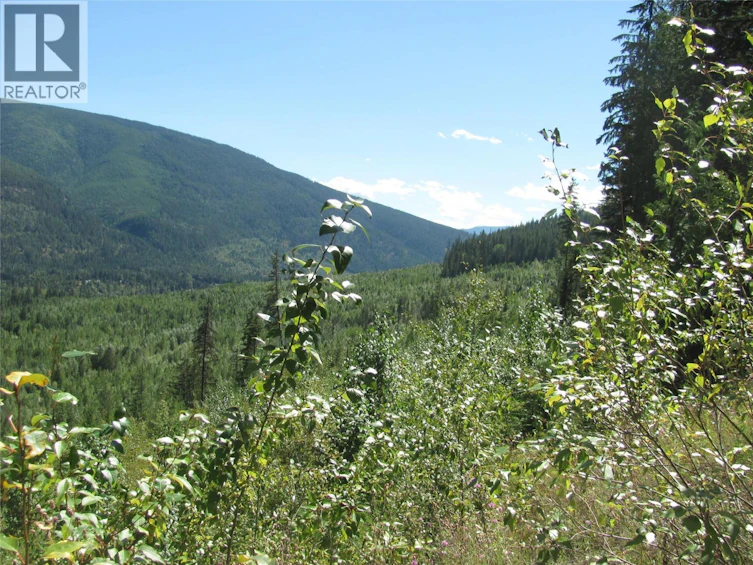 130Acres Sugar Lake Sihlis Road, Cherryville, BC, V1H 2B1 - 26