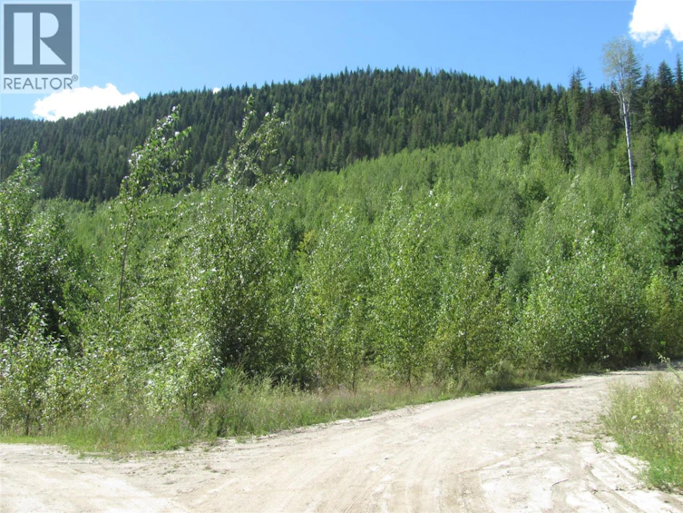 130Acres Sugar Lake Sihlis Road, Cherryville, BC, V1H 2B1 - 3