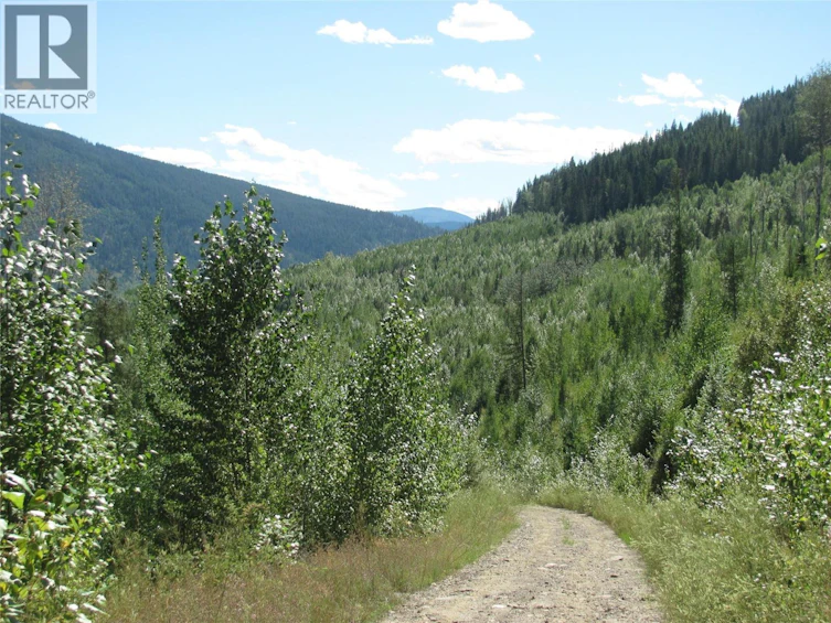 130Acres Sugar Lake Sihlis Road, Cherryville, BC, V1H 2B1 - 28