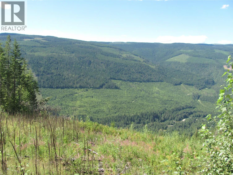 130Acres Sugar Lake Sihlis Road, Cherryville, BC, V1H 2B1 - 34