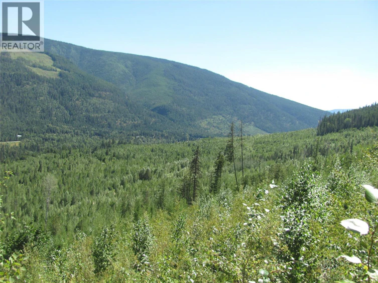 130Acres Sugar Lake Sihlis Road, Cherryville, BC, V1H 2B1 - 23