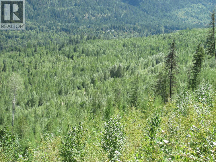 130Acres Sugar Lake Sihlis Road, Cherryville, BC, V1H 2B1 - 6
