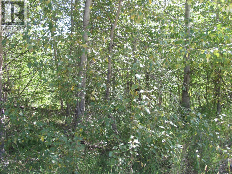130Acres Sugar Lake Sihlis Road, Cherryville, BC, V1H 2B1 - 30