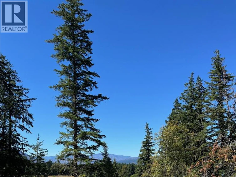 2221 Lakeview Drive, Blind Bay, BC, V0E 2W2 - 3