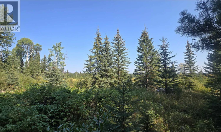 DL-2886 Horse Lake Forest Service Road