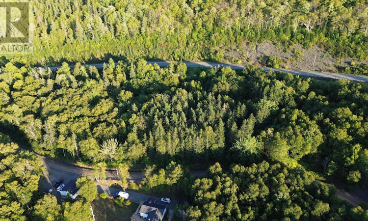 Glen Albert Drive