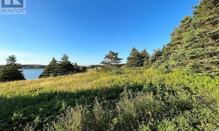 117 Cape Shore Highway