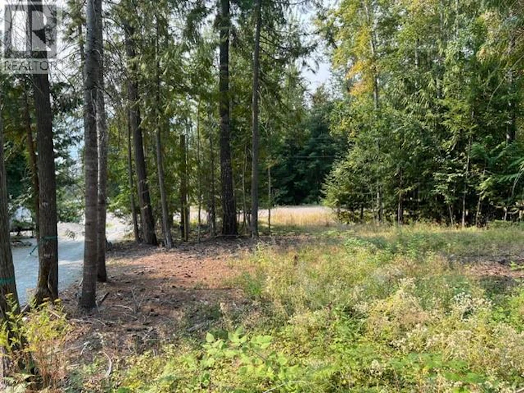 7283 Estate Place, Anglemont, BC, V0E 1M8 - 12