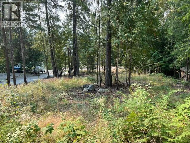 7283 Estate Place, Anglemont, BC, V0E 1M8 - 9