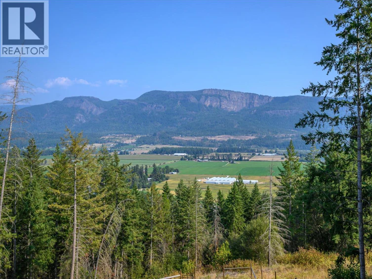179 Nichlous Road, Enderby, BC, V0E 1V3 - 34